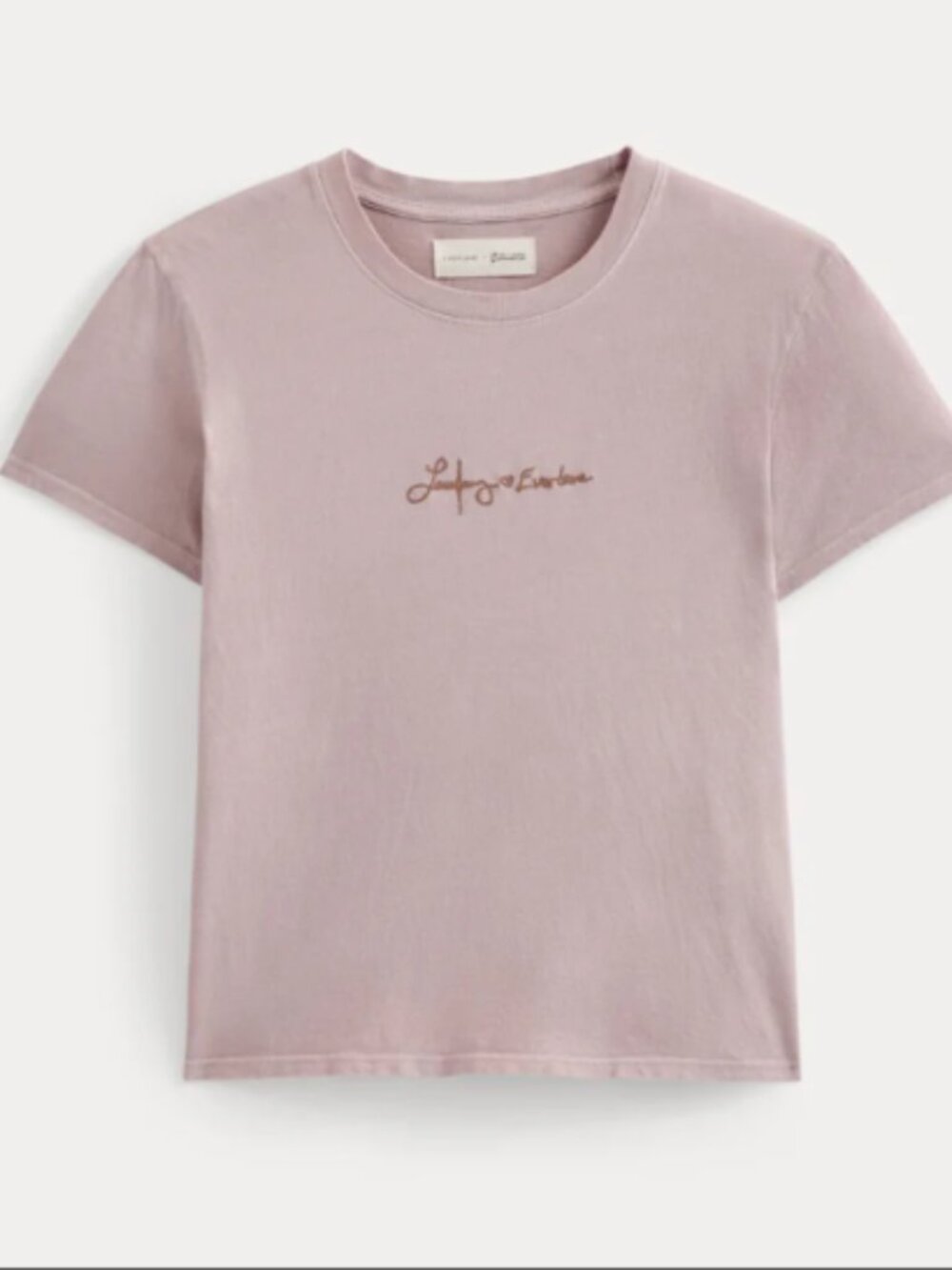 Everlane X Laufey Foundation Box-Cut Tee Brushed Lilac Size XS NWT